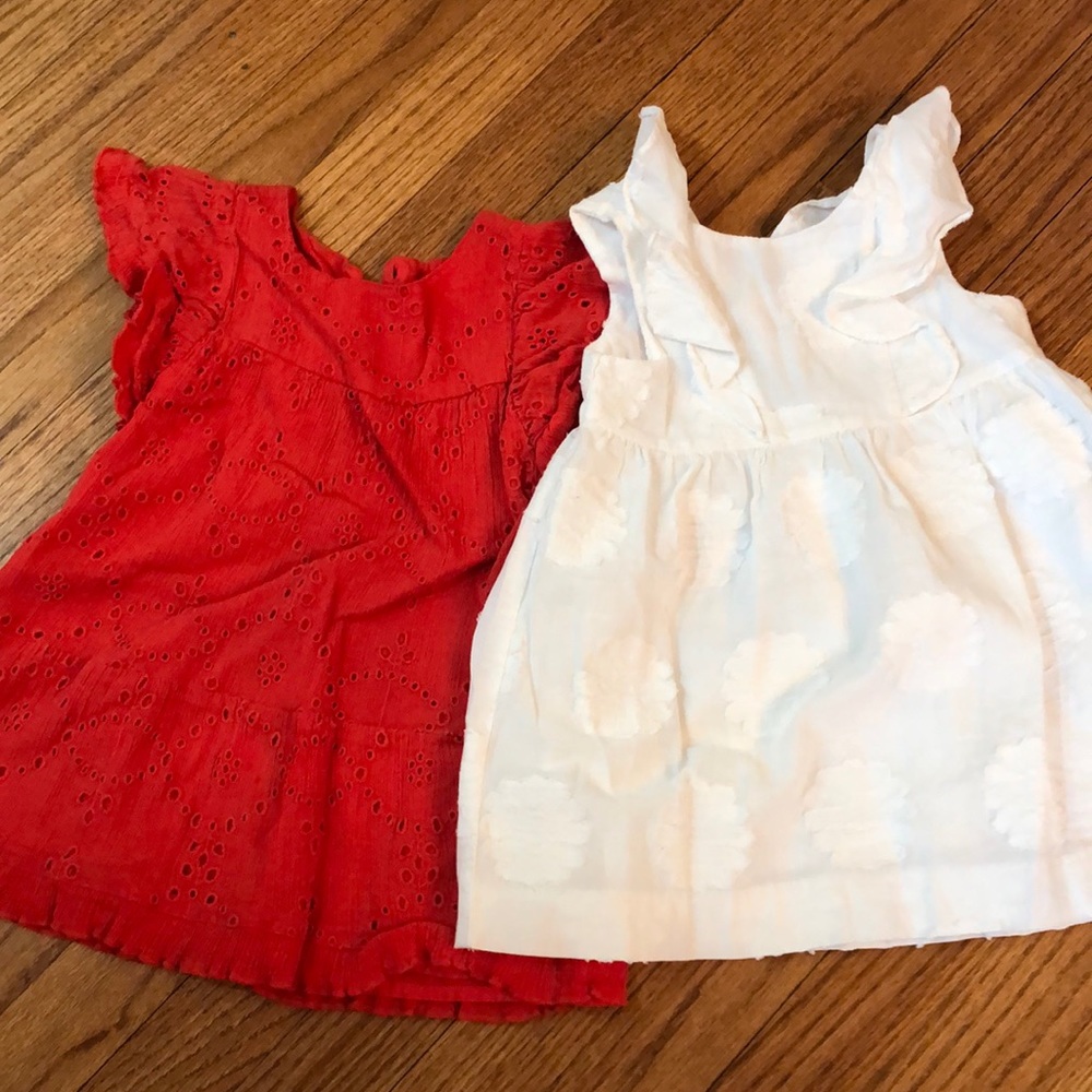Two ZARA Girls size 2-3 dresses